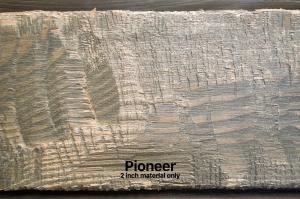 Pioneer Final Fotor web Fotor