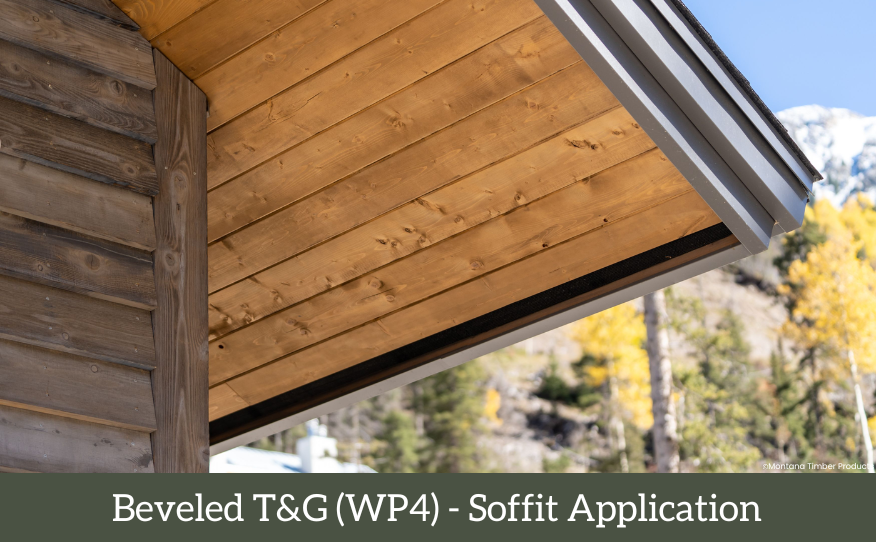 wood siding profile - tongue and groove beveled application - montana timber products