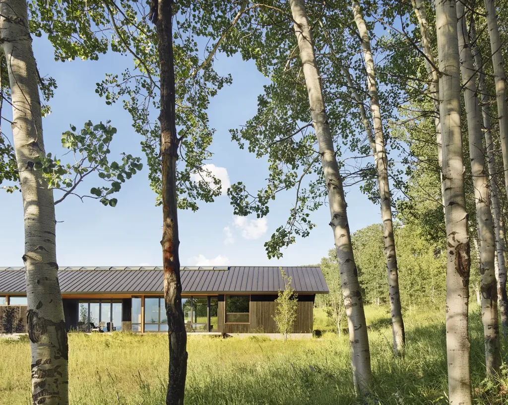 Side View of Spring Creek House