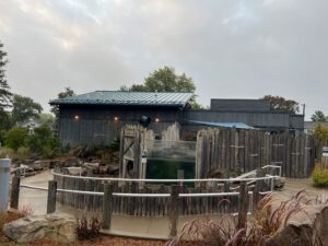 Before 7 year faded siding, zoo exhibit enclosure