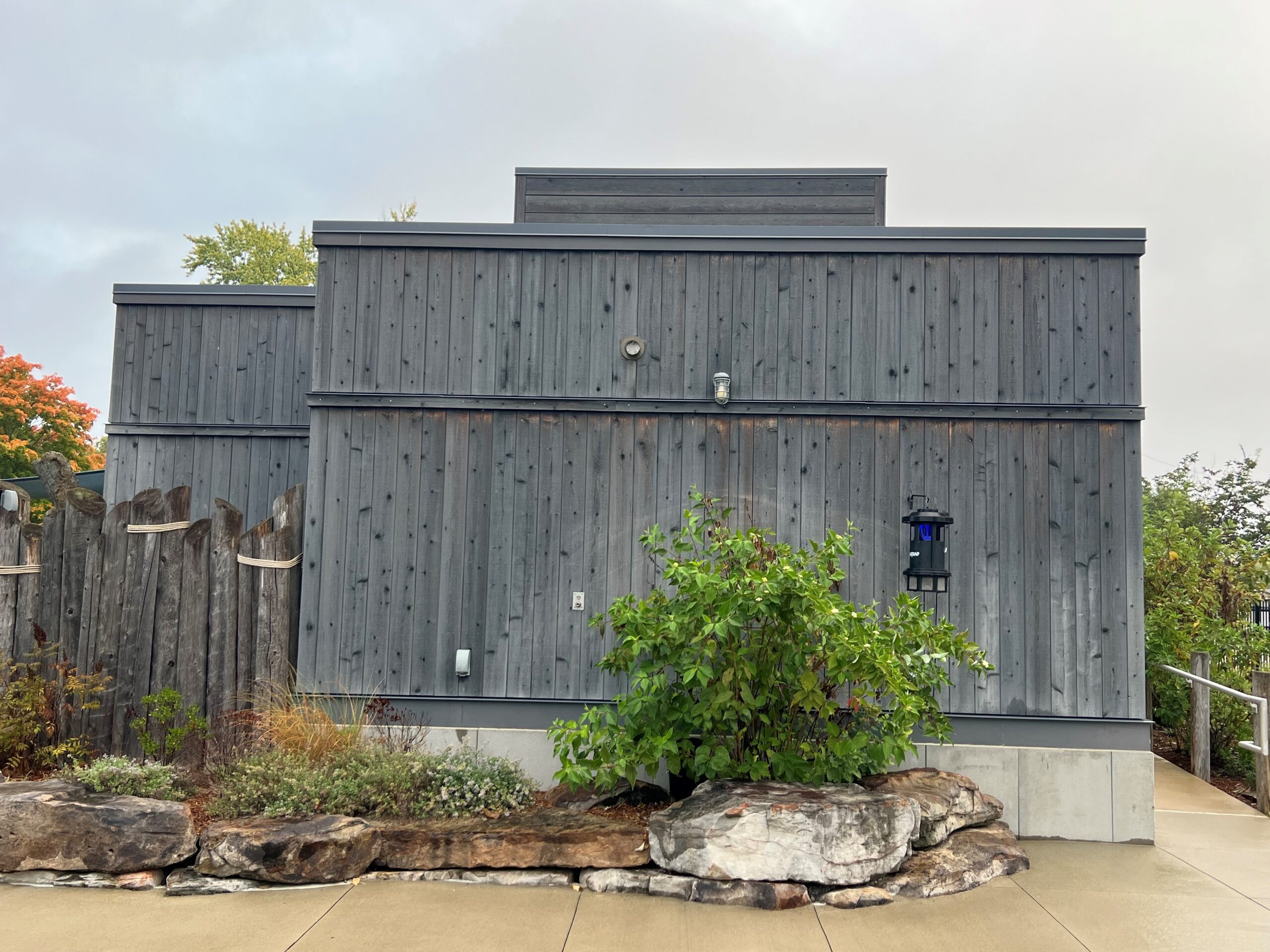 AquaFir™ Charcoal, 7 year patina pedestrian traffic zone at zoo