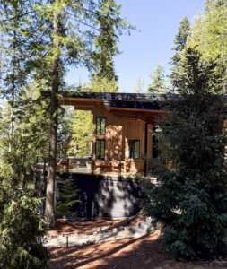 Charwood Midnight siding forest yard view