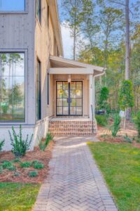 Light and Shade Sunlight on Driftwood